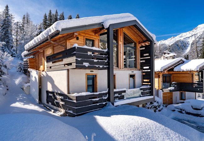Chalet in Chamonix-Mont-Blanc - Green Forest