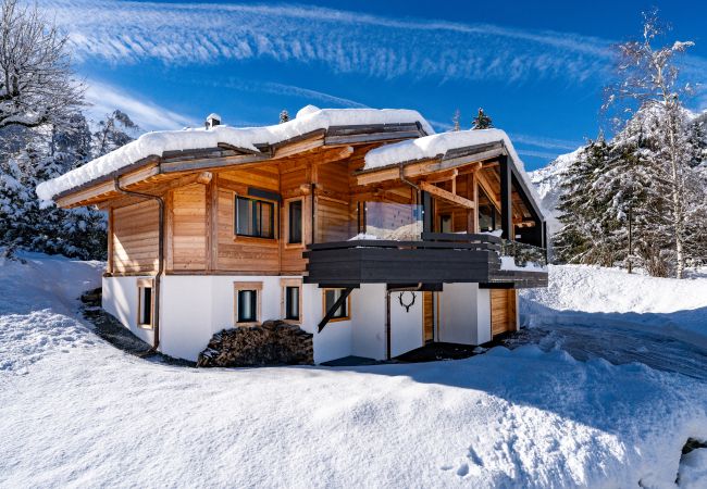 Chalet in Chamonix-Mont-Blanc - Silver Forest