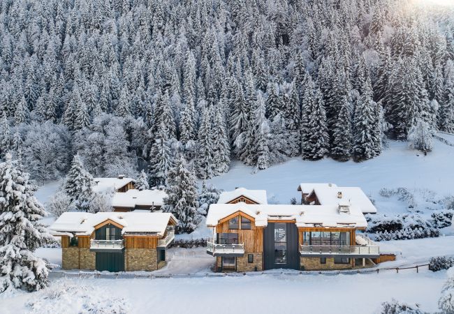 Chalet in Chamonix-Mont-Blanc - Cotes du Lavancher